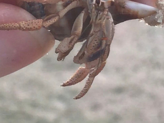 Fun Rentals Key West-基韦斯特必去景点