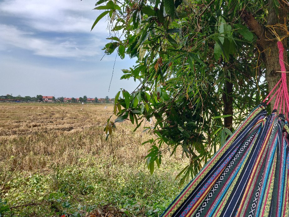 Peaceful Lake Homestay主图