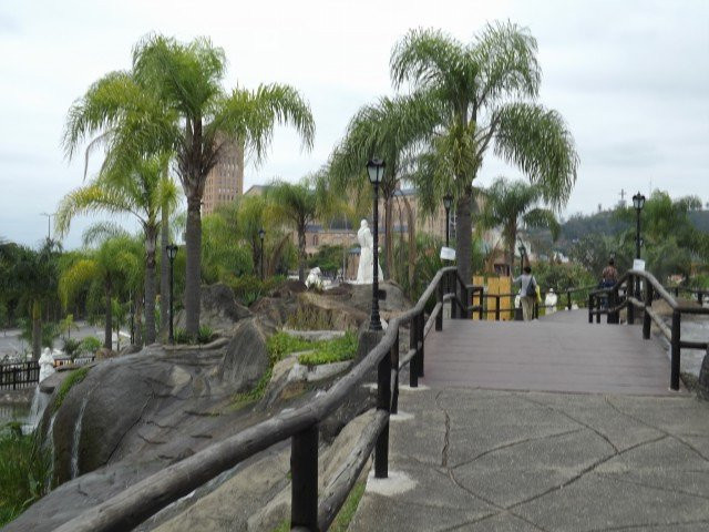Morro Do Presepio景点图片