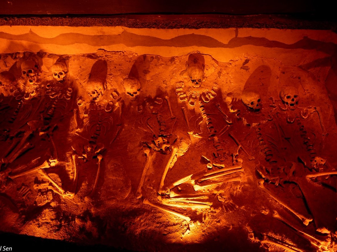 Museo de Sitio Teotihuacan景点图片