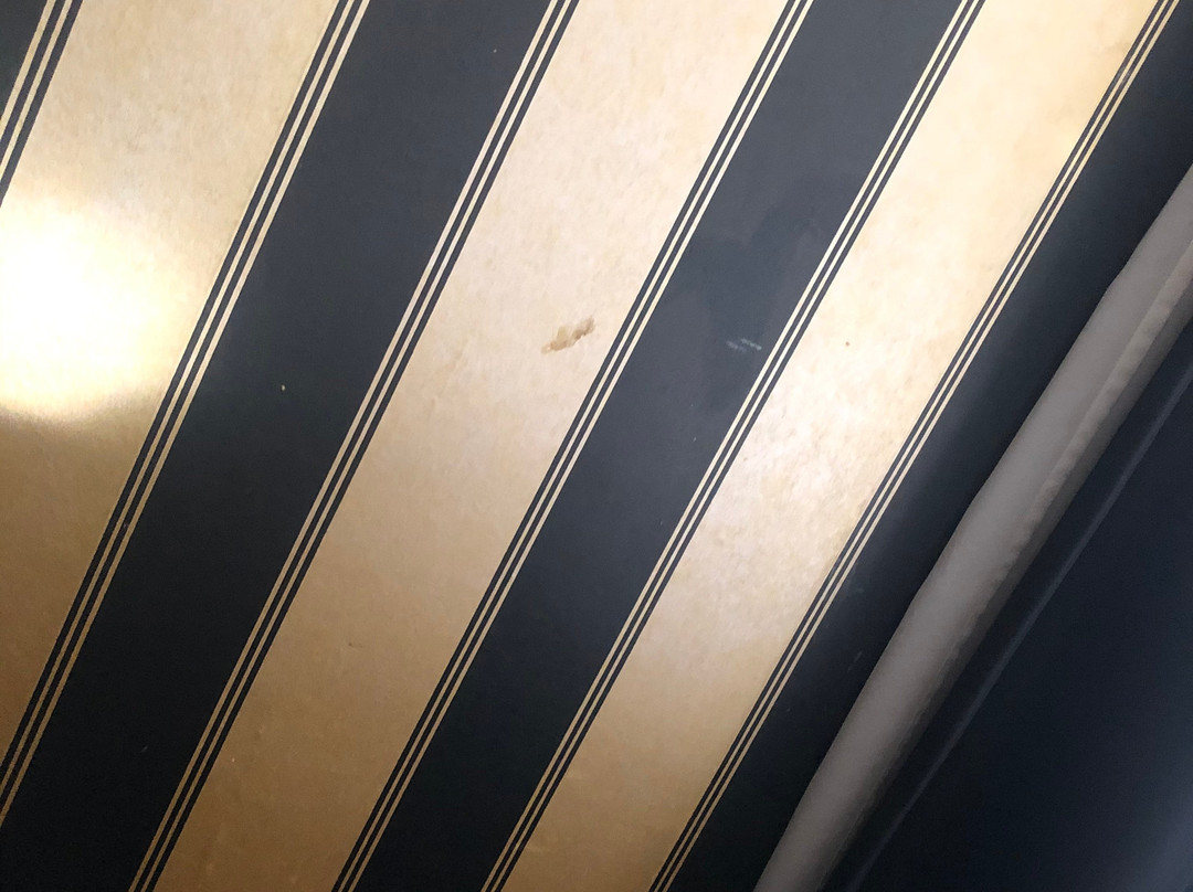 Villa Monte Dana Amsterdam Airport主图