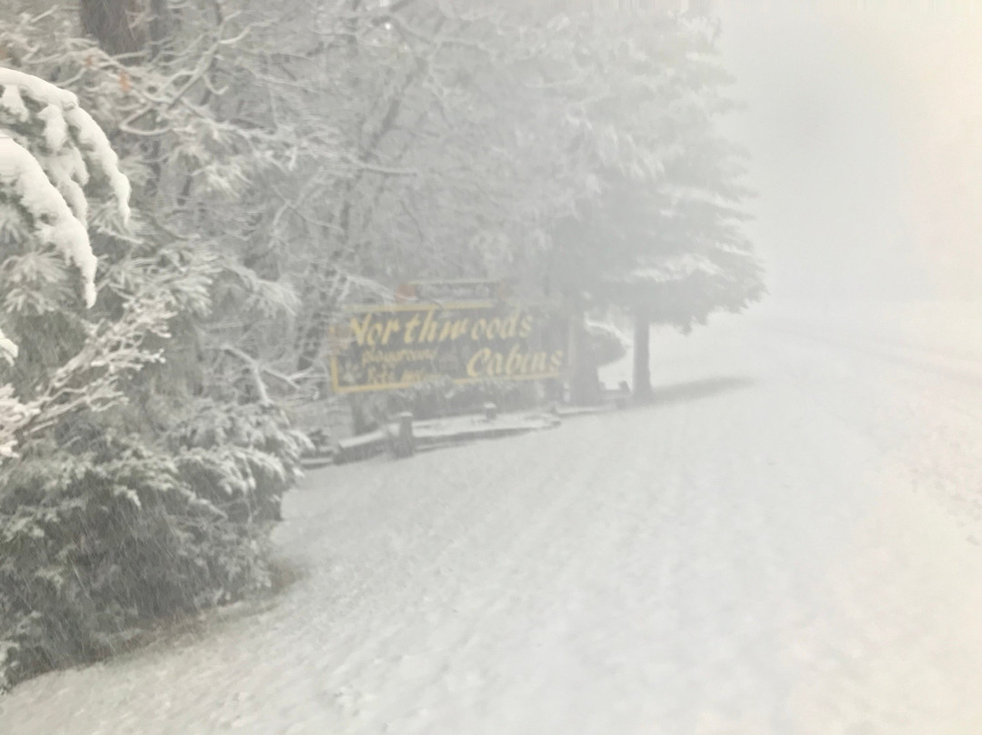 Northwoods Cabins主图