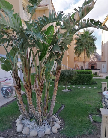 Taba Sands Hotel & Casino主图