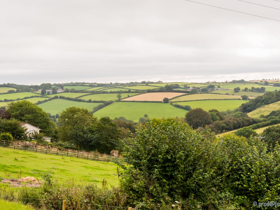 The Poltimore Inn主图