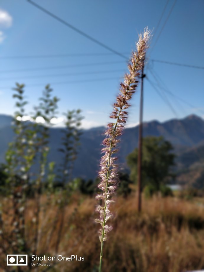 180 Heights Kanatal-官方