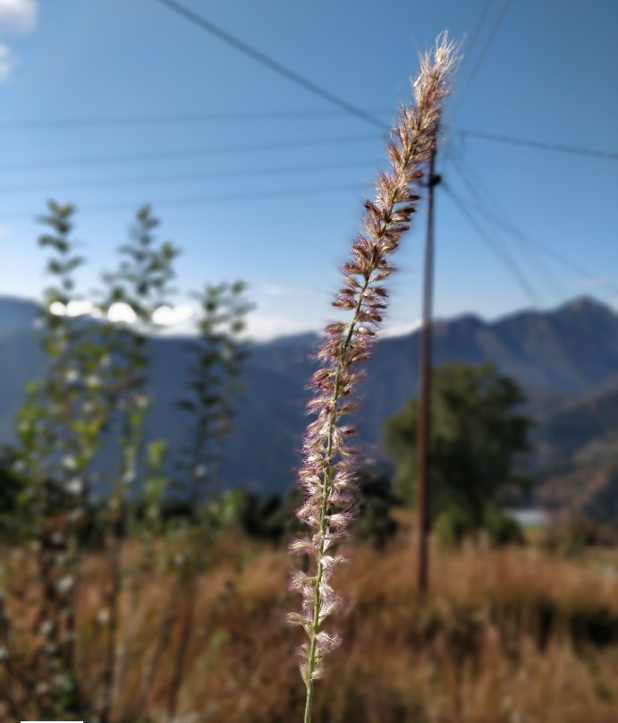 180 Heights Kanatal主图