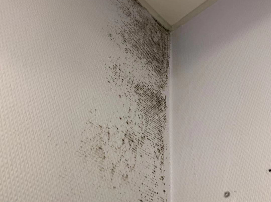 小陛下酒店主图