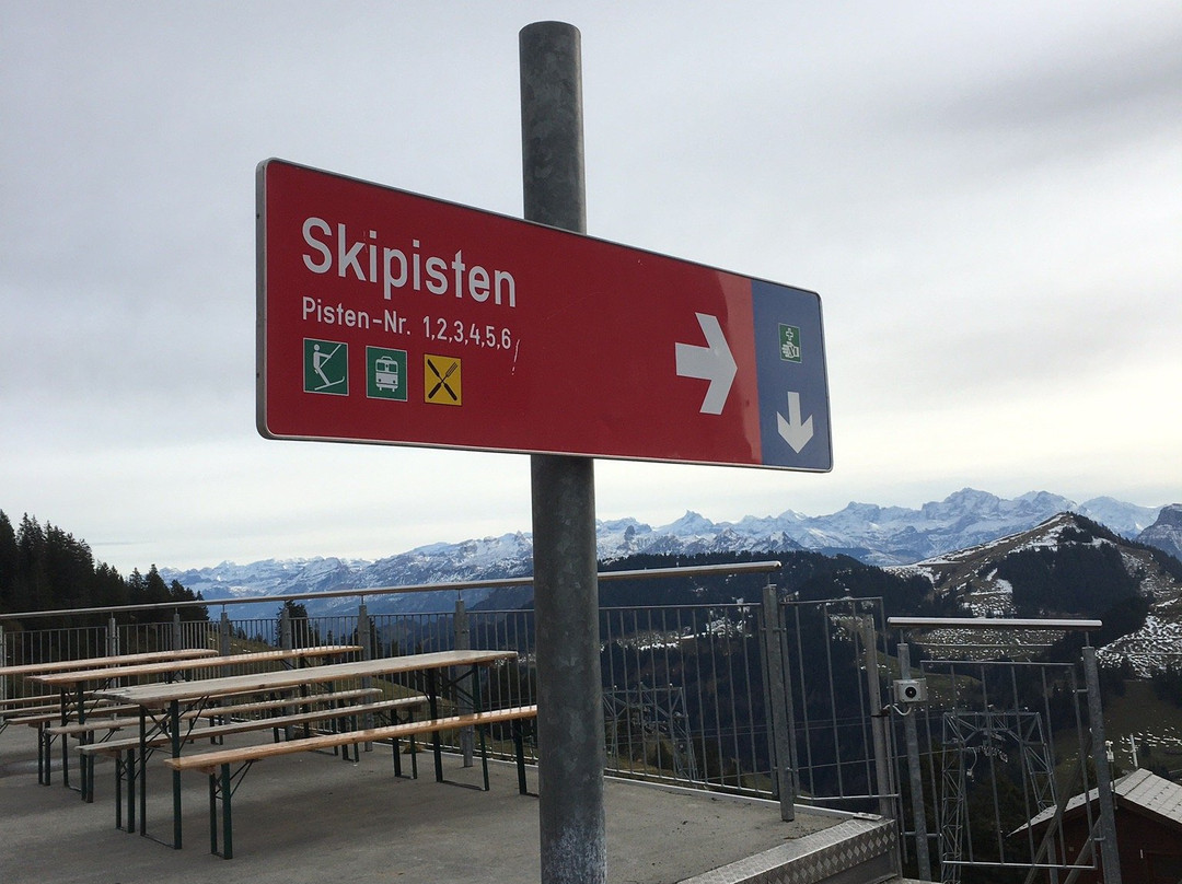 Rigi Kaltbad旅游攻略图片