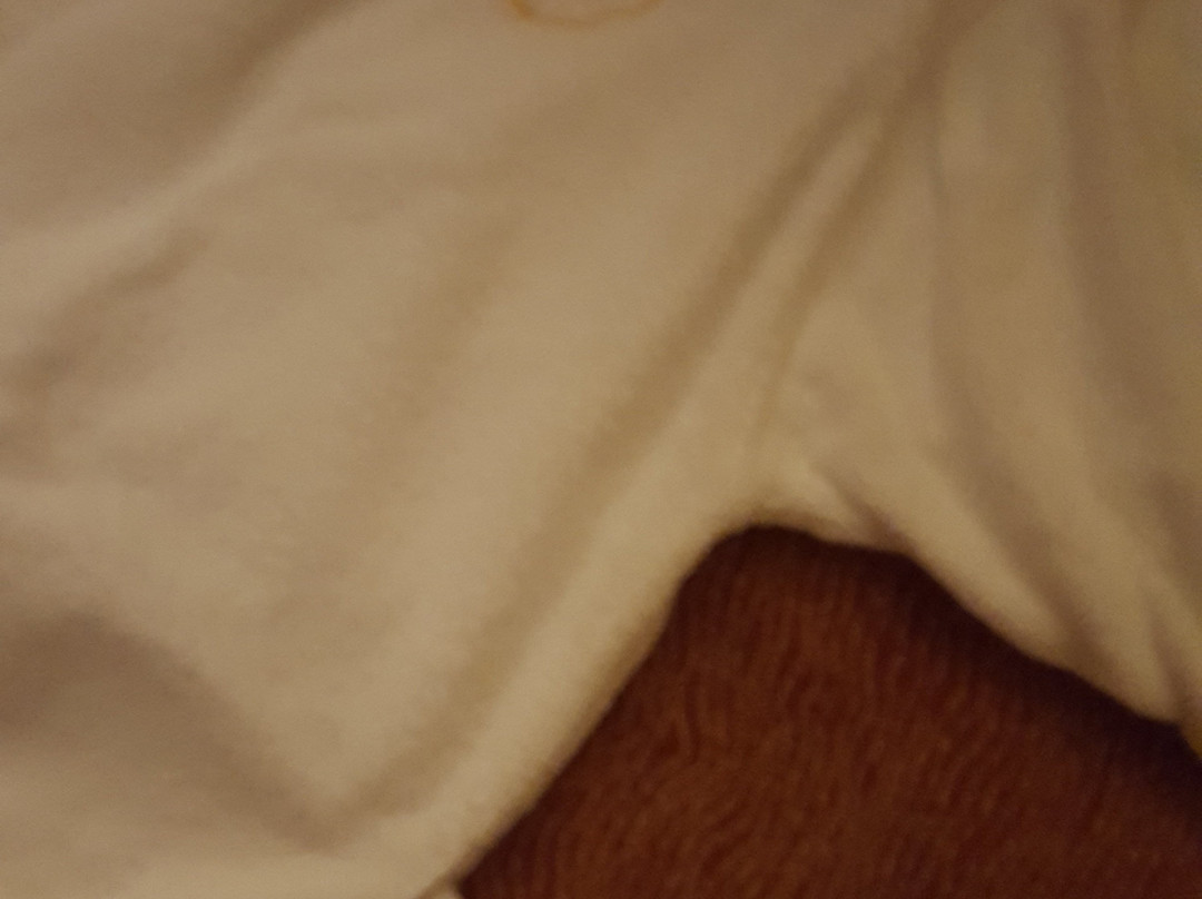 Hotel-Cafe-Restaurant Nagele主图