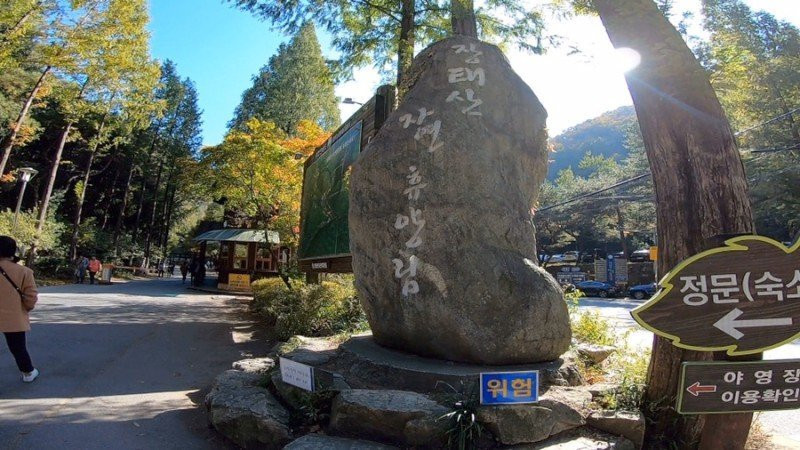 Jangtaesan Natural Forest-大田必去景点