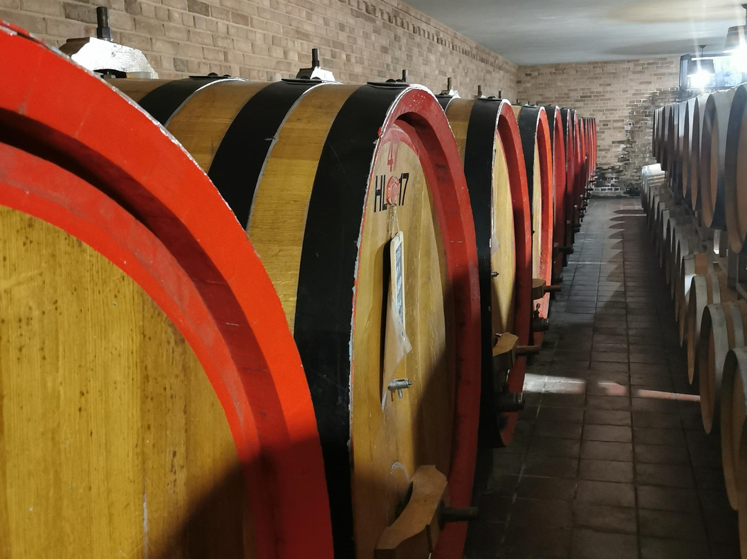 Langa Wine Tour-巴罗洛必去景点