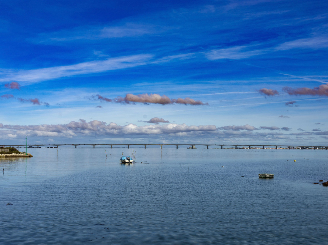 Pont de l'Ile d'Oleron景点图片