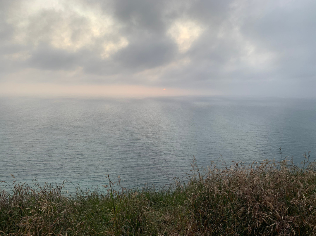Mokotahi Hill景点图片