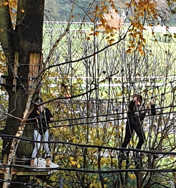 The Oakwood-Esher必去景点