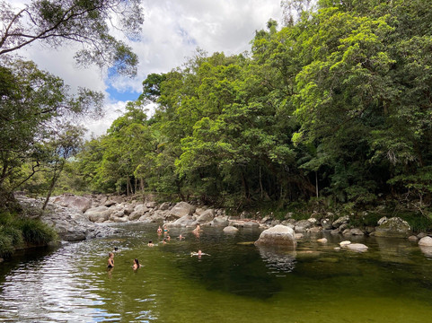 Rainforest Spirit Tours-凯恩斯必去景点