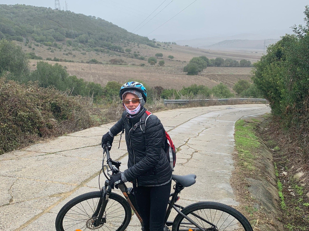 Bicicletas Francisco景点图片