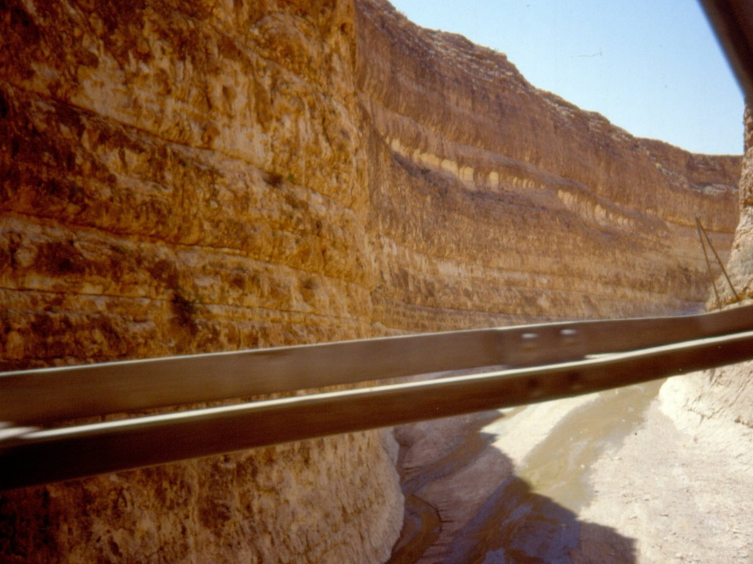 Red Lizard Train-Metlaoui必去景点