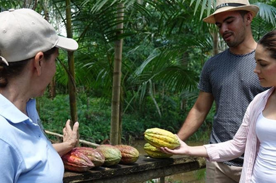 Turedco-Anvitur-Arauca必去景点