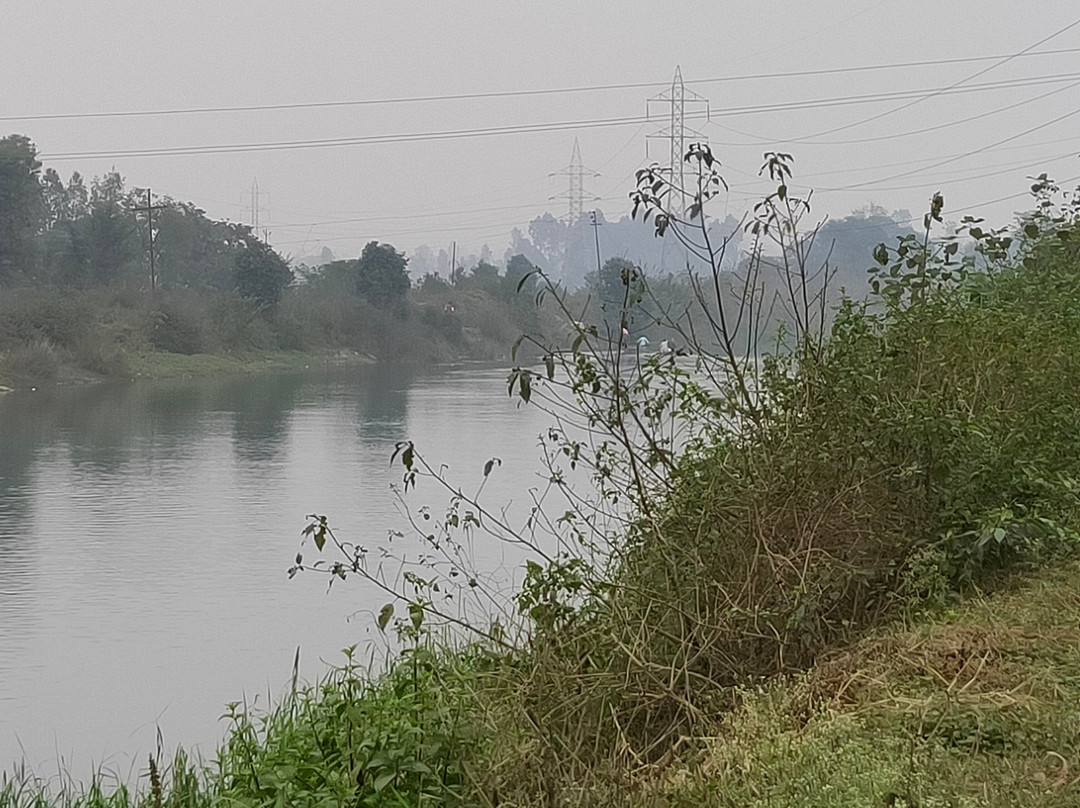 The Kothi Village Stay主图