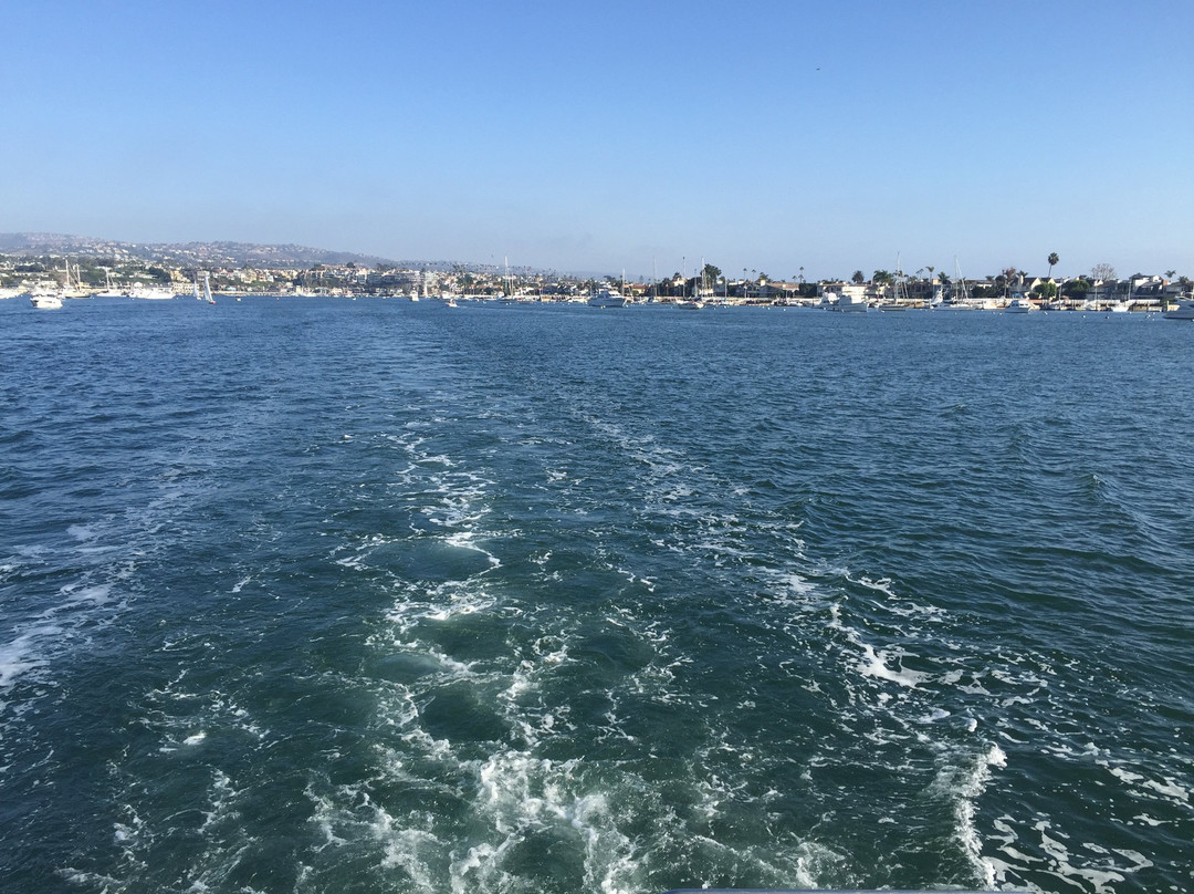 Paradiso Yacht Charters-纽波特海滩必去景点
