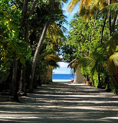 TGI - Maayafushi Diving Center-Maayafushi Island必去景点