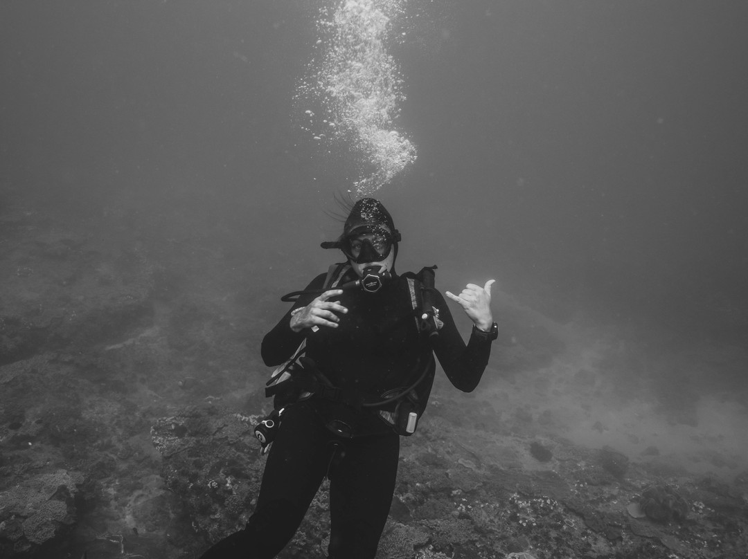 Back To Basics Adventures-Ponta do Ouro必去景点