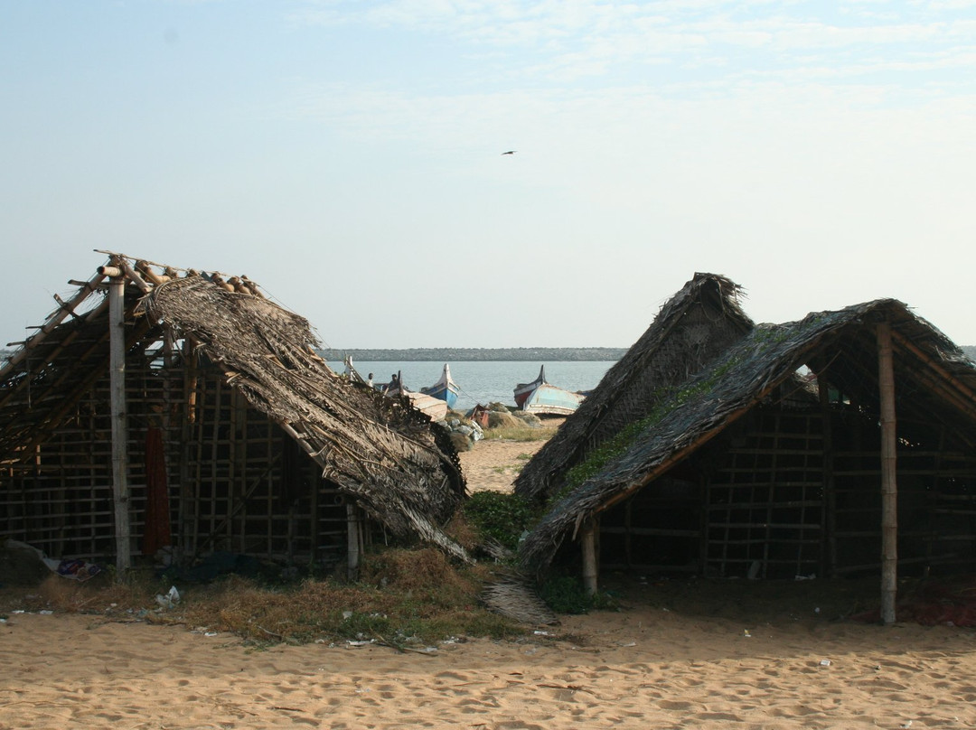 Lighthouse Beach景点图片