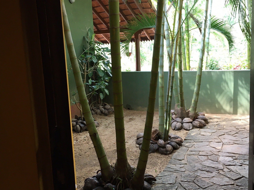 AjjanaMane Homestay主图