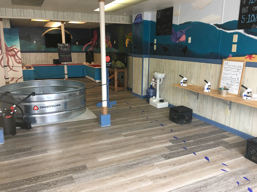 Topsail Aquarium景点图片