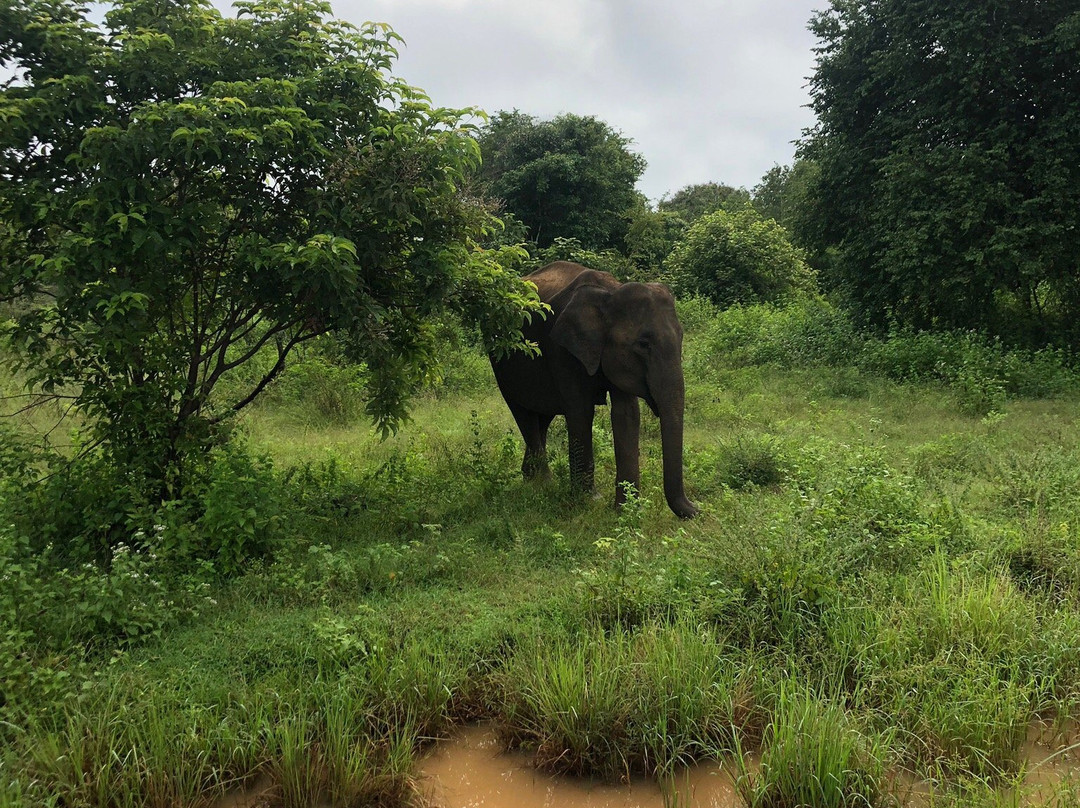 The Destination主图