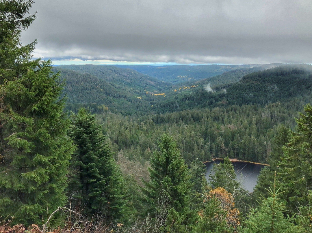 Nationaal park Schwarzwald-Seebach必去景点