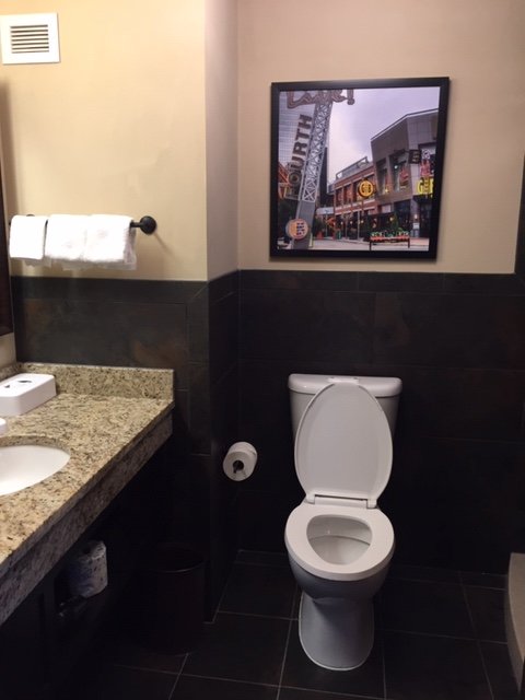 Drury Inn & Suites Louisville North-浴室