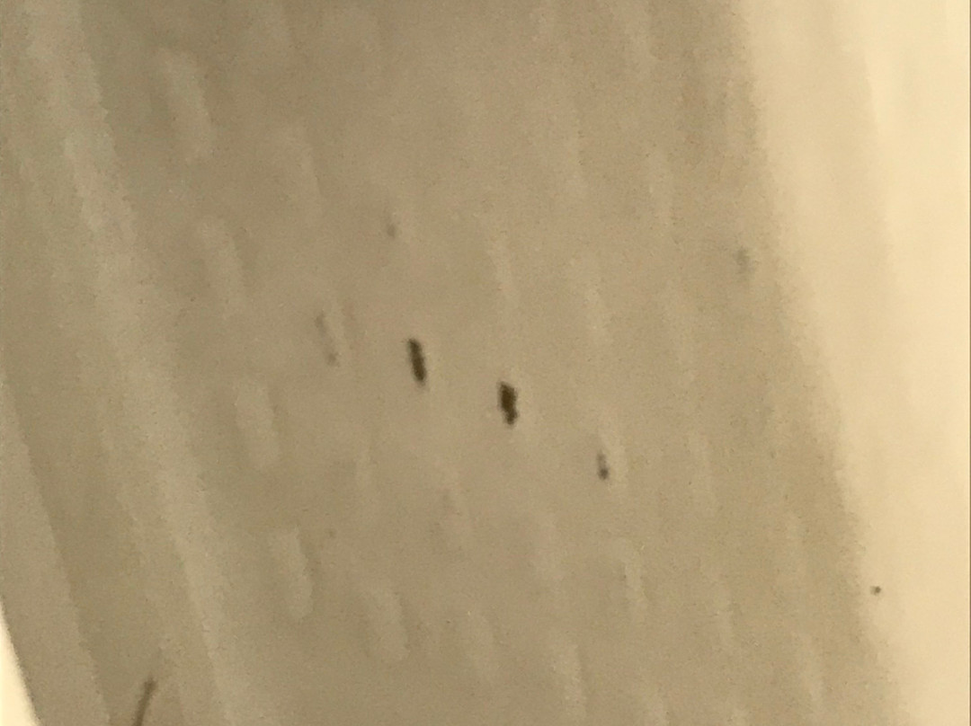 Country Inn & Suites by Radisson, Panama City, FL主图