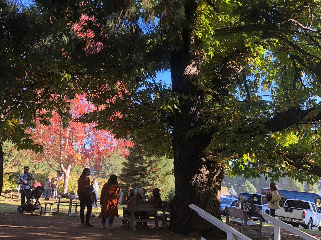 Snowline Apple Orchard-Oak Glen必去景点