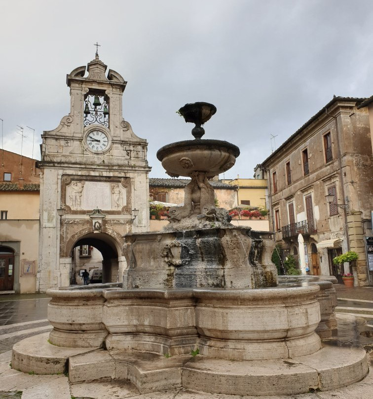 Fontana dei Delfini景点图片