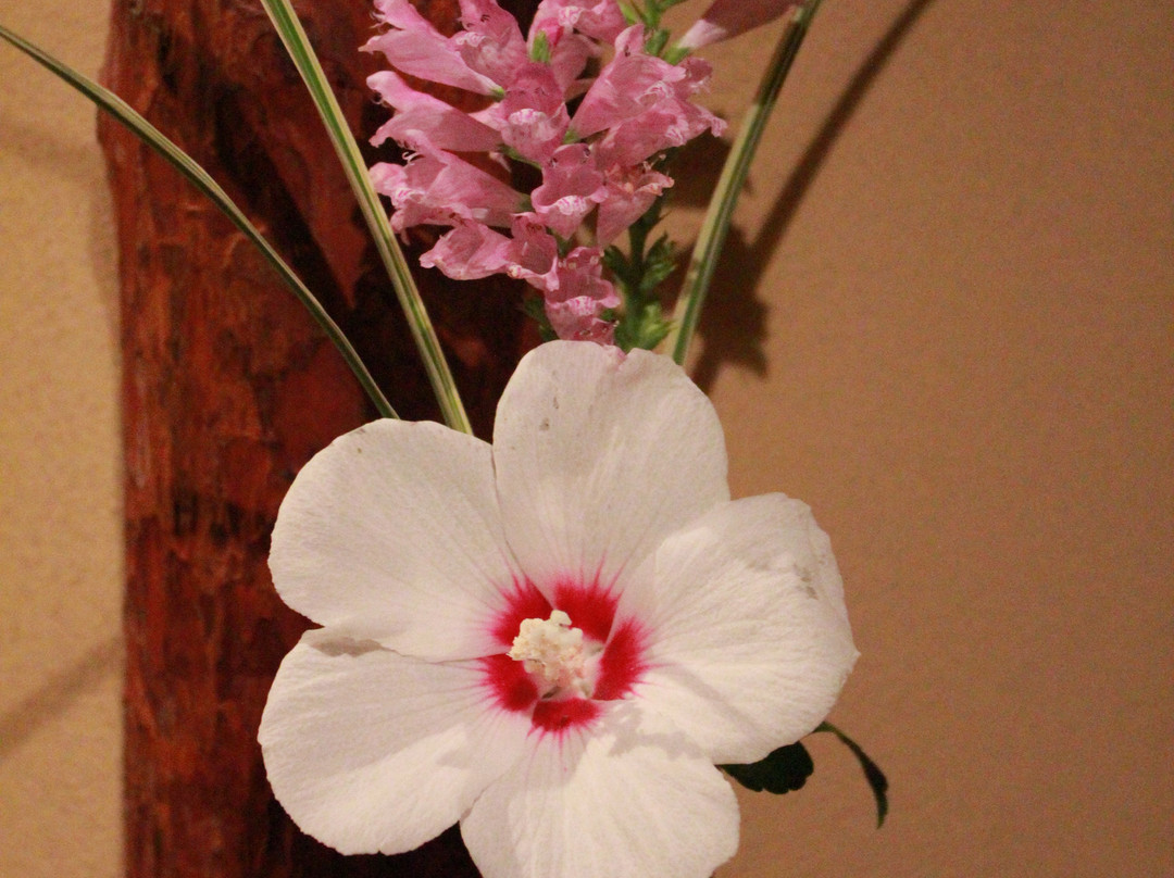 YANESEN Tourist Information & Culture Center. /珈琲工場　Opereted by LEAD Co.,-Yanaka必去景点