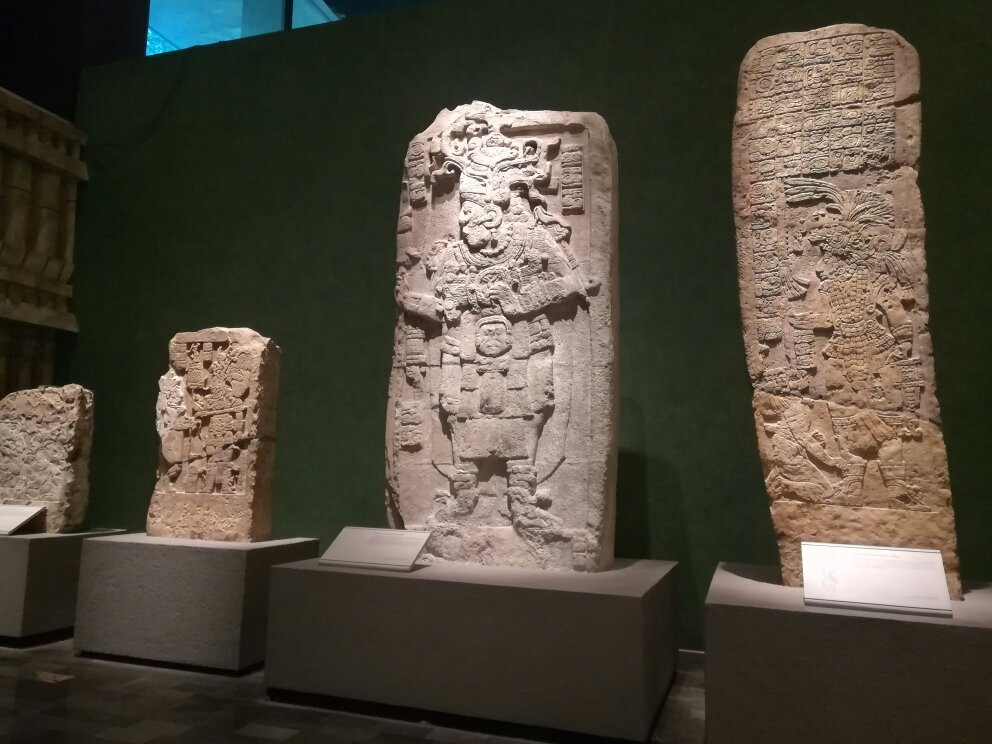 Museo de Antropología e Historia景点图片