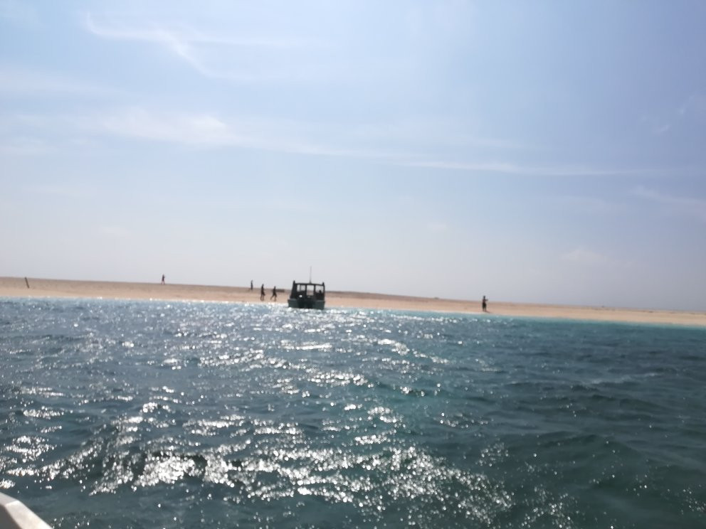 Bird Island景点图片