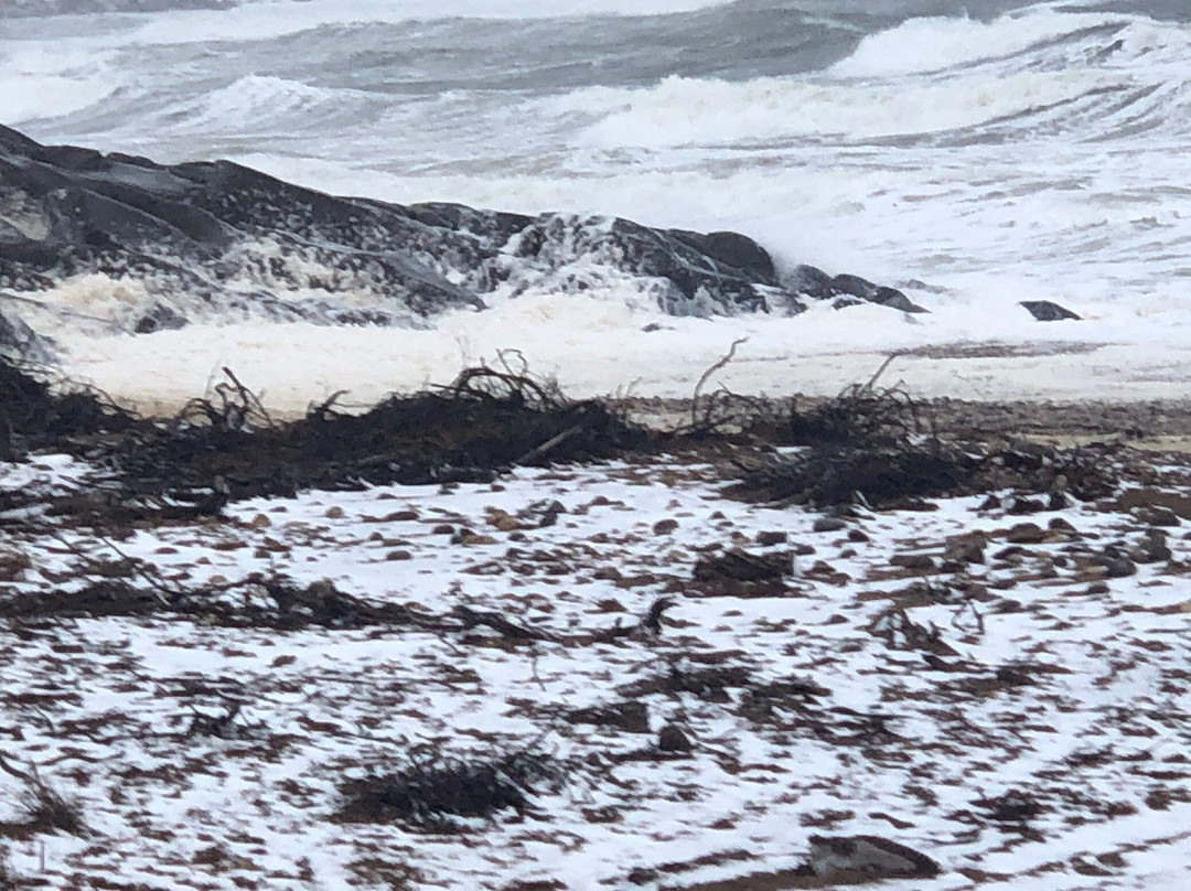 Bay Shore Road-丘吉尔必去景点