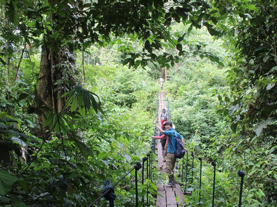 Monte Amazonico Lodge景点图片