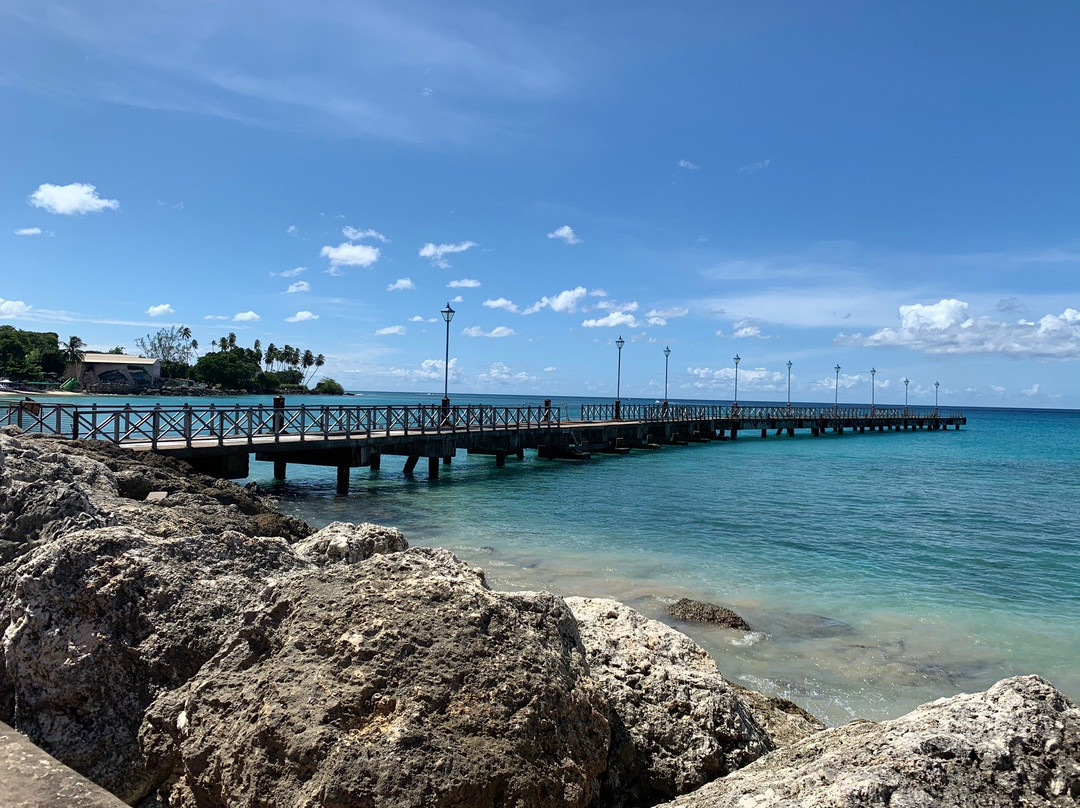 Coconut Tours-布里奇顿必去景点