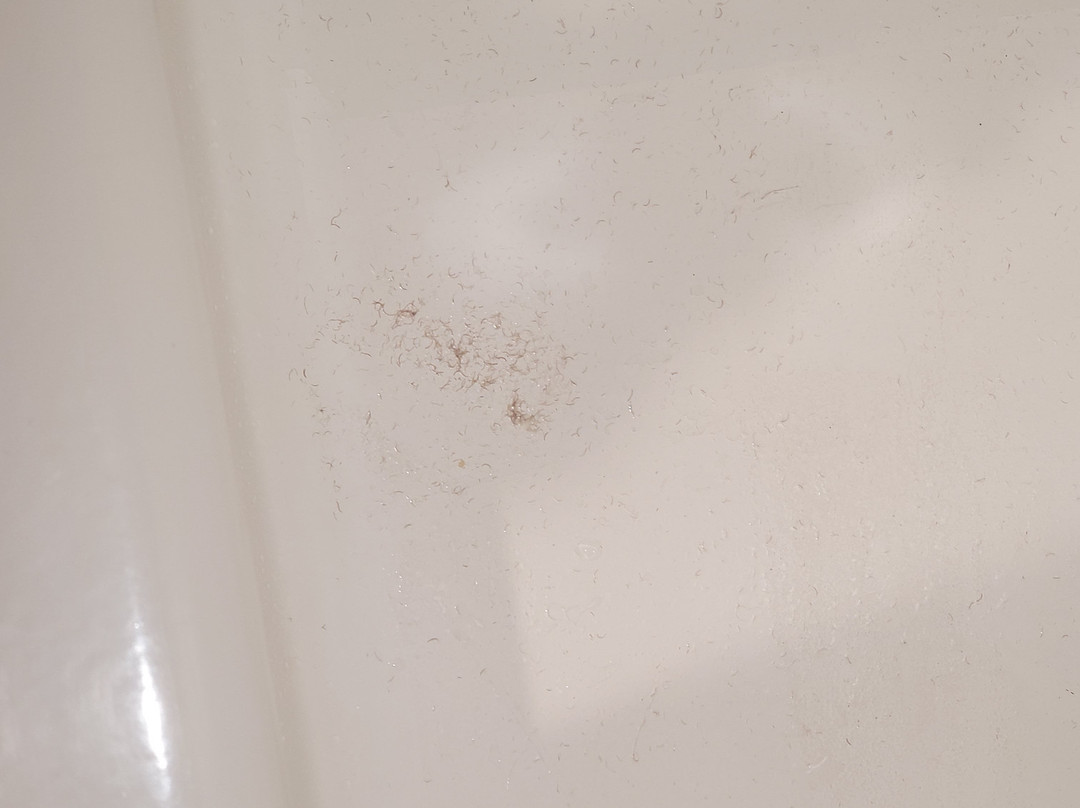 The Bethesdan Hotel, Tapestry Collection By Hilton主图