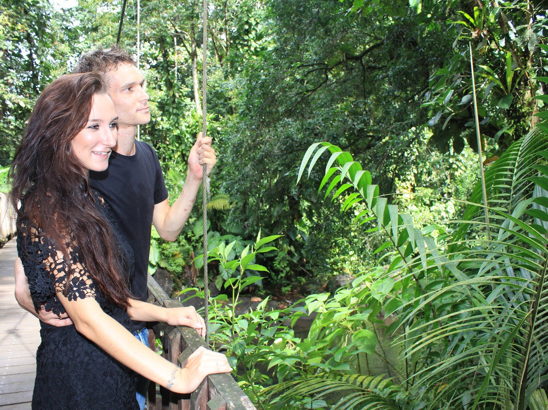 German Butterfly-Pointe-a-Pitre必去景点