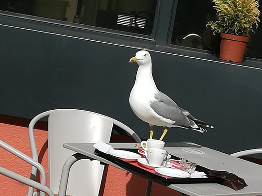 Oporto Adventure Tours-波尔图必去景点