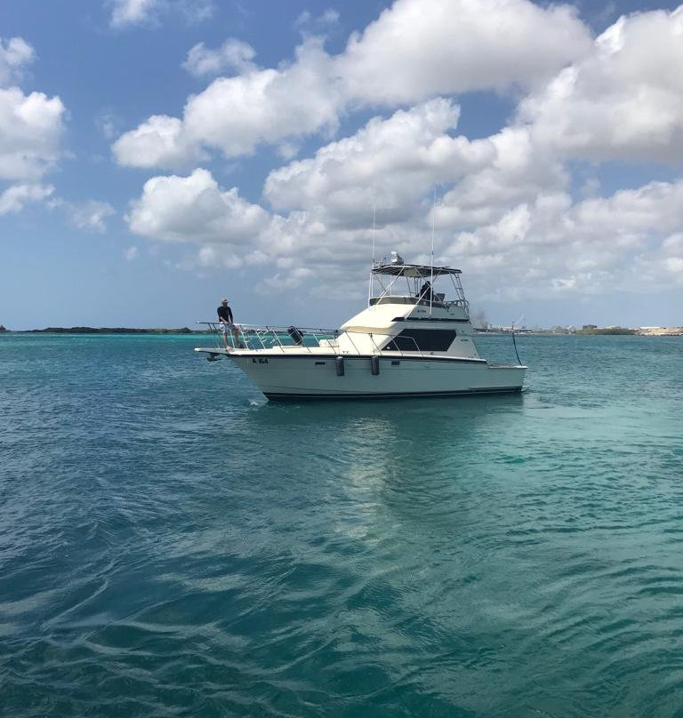 Sea Bull Aruba Charters