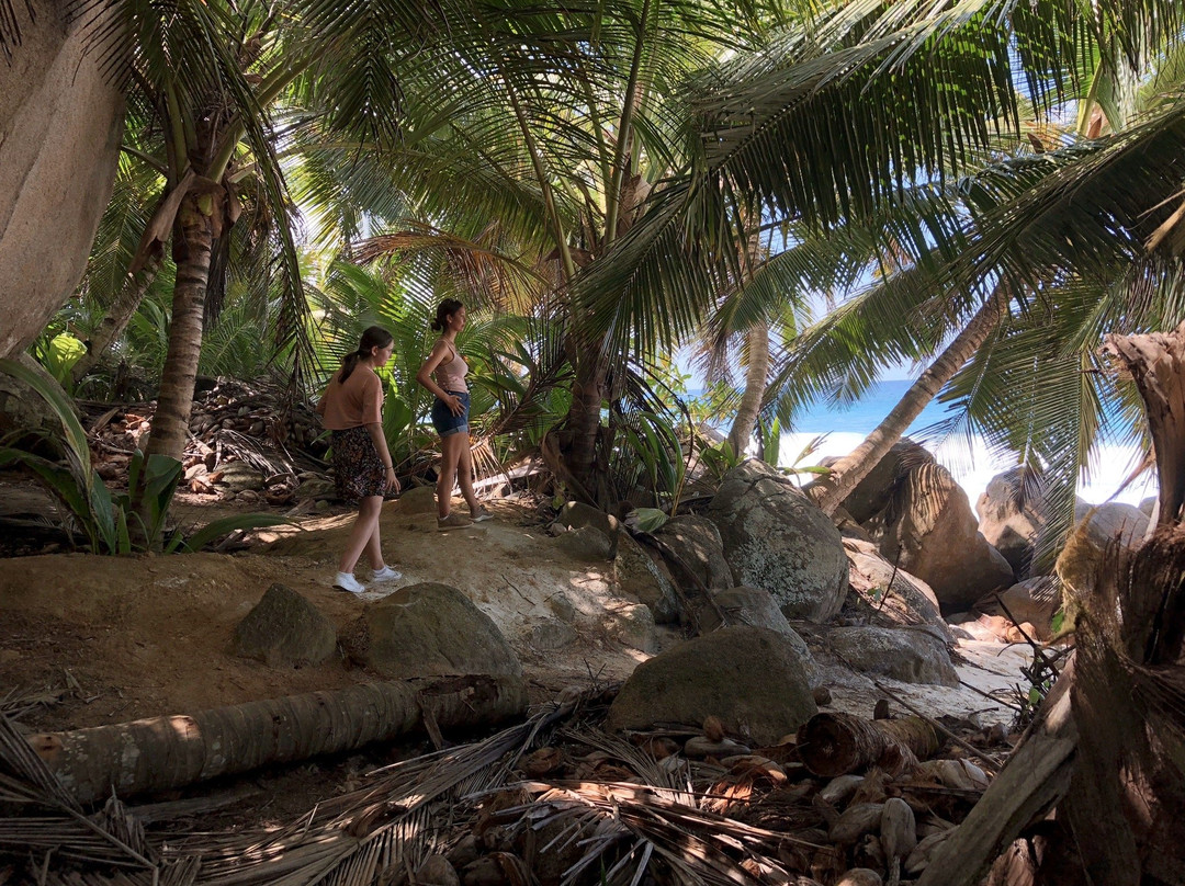 Anse Capucins Beach景点图片