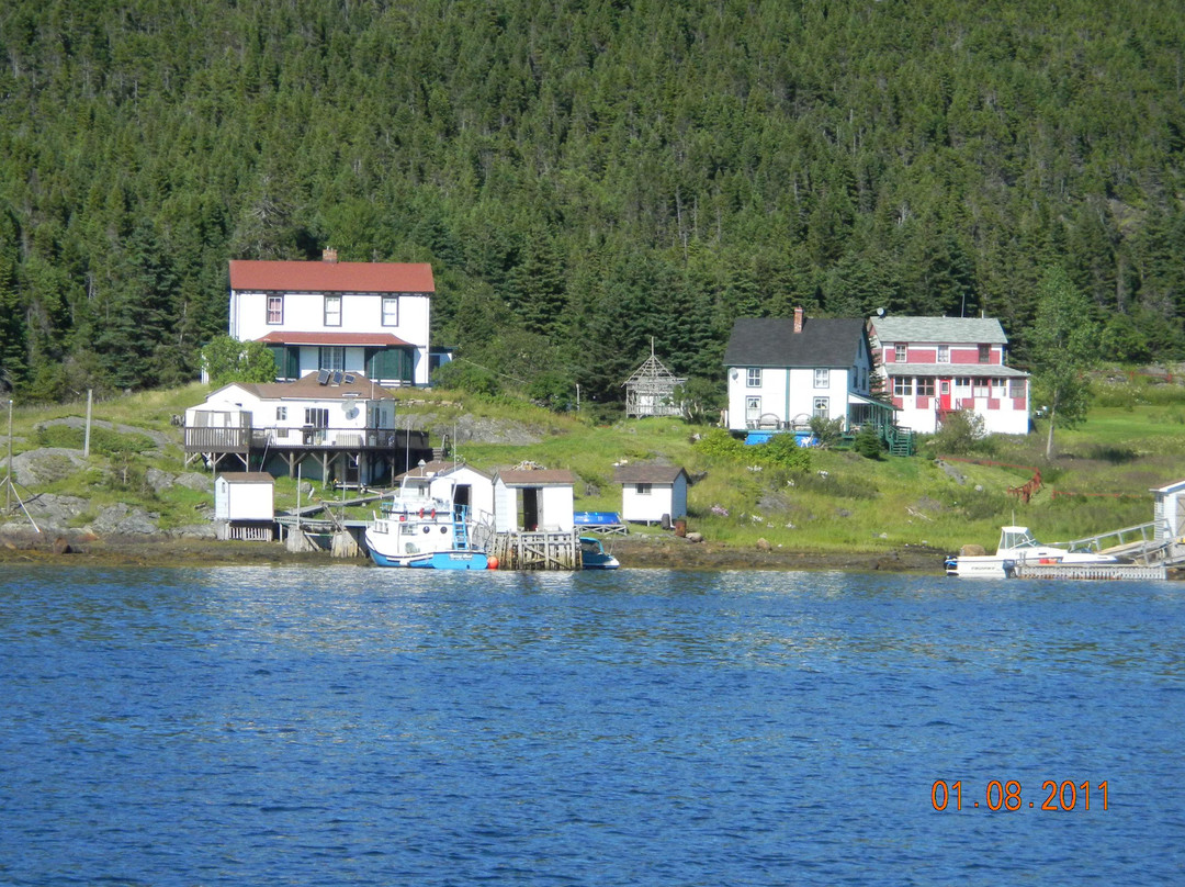 Mussel Bed Boat Tours景点图片