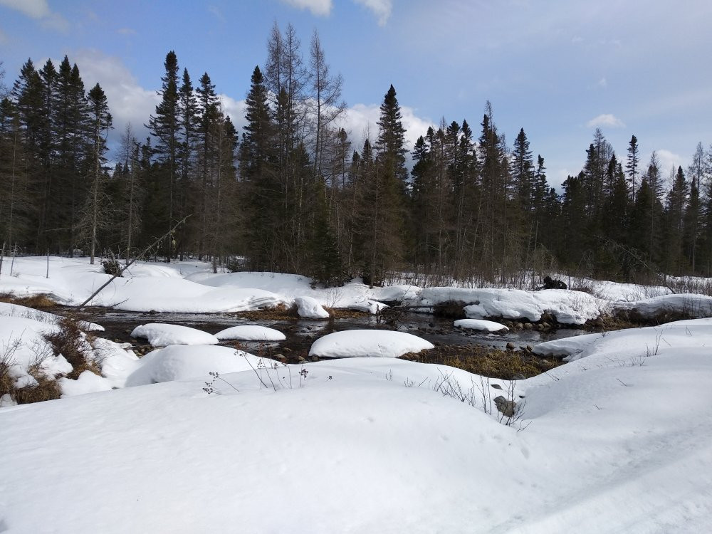 Arctic Aventure-Sainte-Marguerite-du-Lac-Masson必去景点