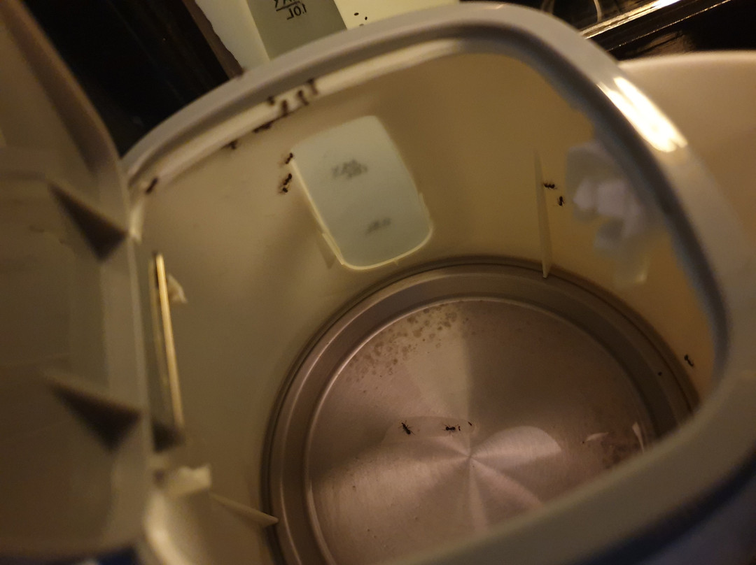 Royal Caravan Hotel & Outbound主图