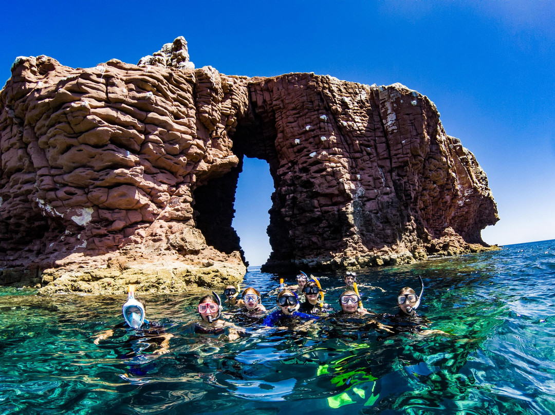 X DIVE MX-拉巴斯必去景点